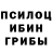 Псилоцибиновые грибы Magic Shrooms Eduard Shapran