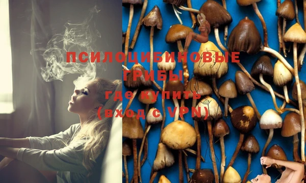 бошки Баксан