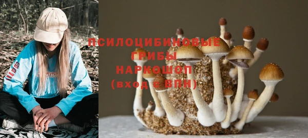 mdpv Балабаново